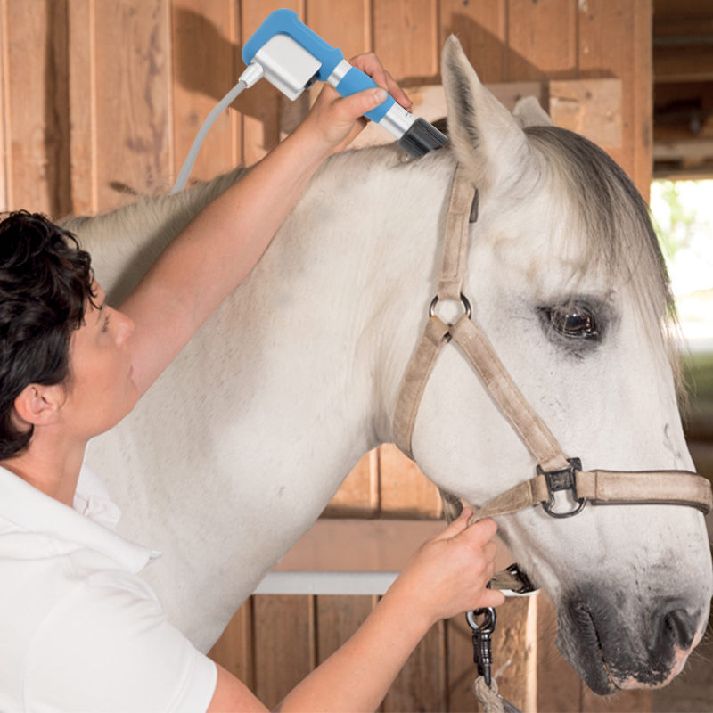 SW13H Veterinary Shockwave Machine — Equine & Animal Therapy with Specialized Horse Treatment Programs