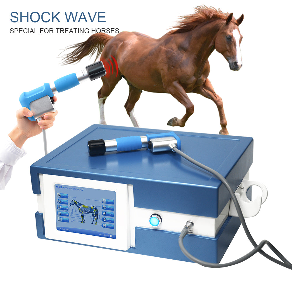 SW13H Veterinary Shockwave Machine — Equine & Animal Therapy with Specialized Horse Treatment Programs