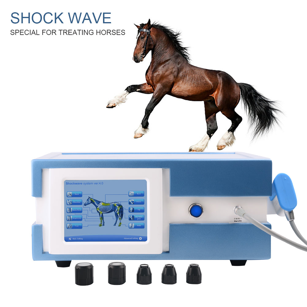 SW13H Veterinary Shockwave Machine — Equine & Animal Therapy with Specialized Horse Treatment Programs