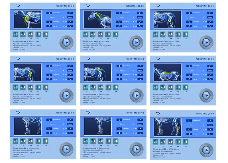 SW13H Veterinary Shockwave Machine — Equine & Animal Therapy with Specialized Horse Treatment Programs