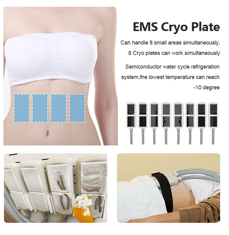 XM-278 PLUS Cryo lipolysis + EMS Fat Reduction Device | Non-Invasive Body Contouring System